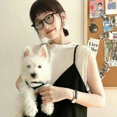 悬疑作者求生指南